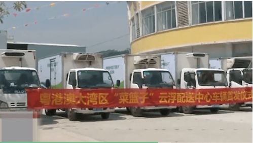 聚焦云浮七大產(chǎn)業(yè)集群⑦ 打造大灣區(qū)北岸綜合物流配送基地 實現(xiàn)高效貨物配送